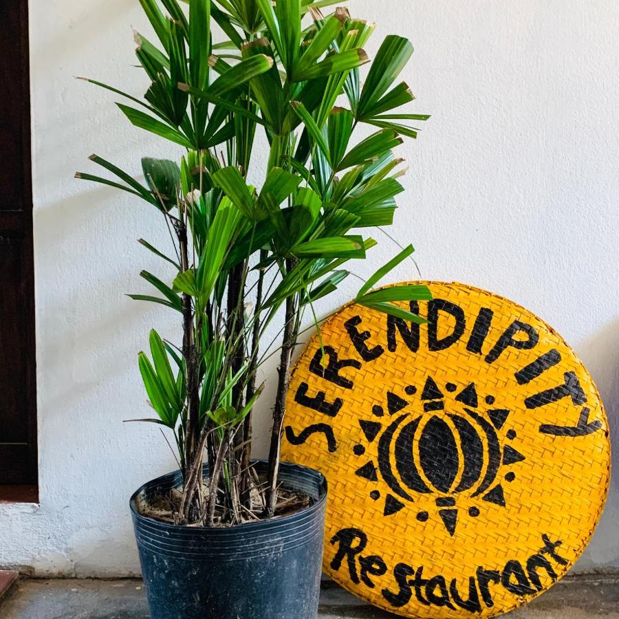 Serendipity Hoi An Hostel ภายนอก รูปภาพ